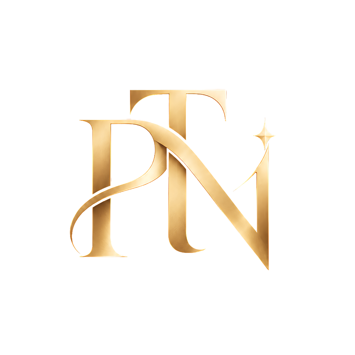 Logo Phạm Thanh Nhuệ